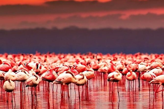 Lake-Natron-1