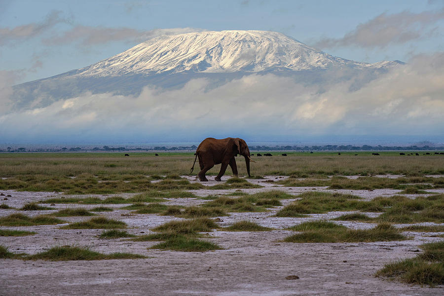 Views of Amboseli National Park