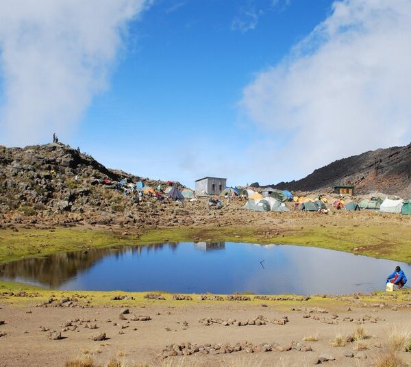 Mawenzi Tarn Camp