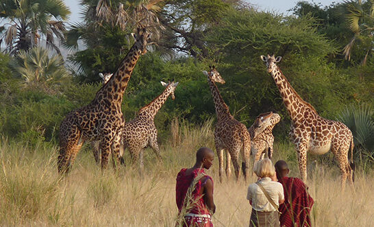 Tanzania-walking-safari1